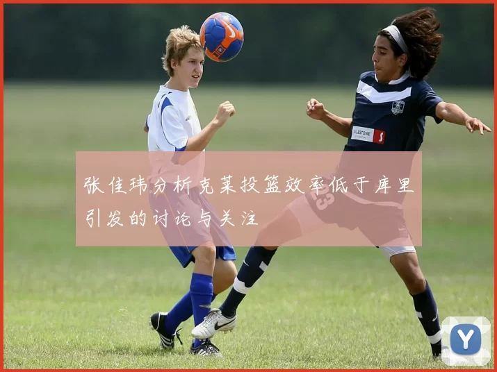 张佳玮分析克莱投篮效率低于库里引发的讨论与关注