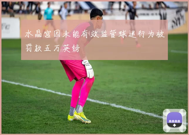 水晶宫因未能有效监管球迷行为被罚款五万英镑
