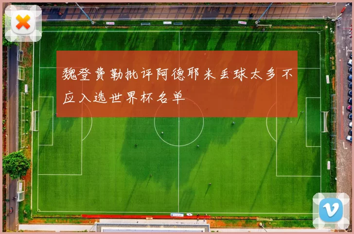 魏登费勒批评阿德耶米丢球太多不应入选世界杯名单